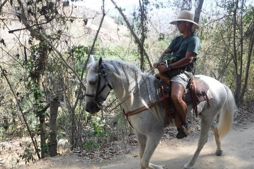 A person riding a white horse on a dirt path surrounded by trees. 2