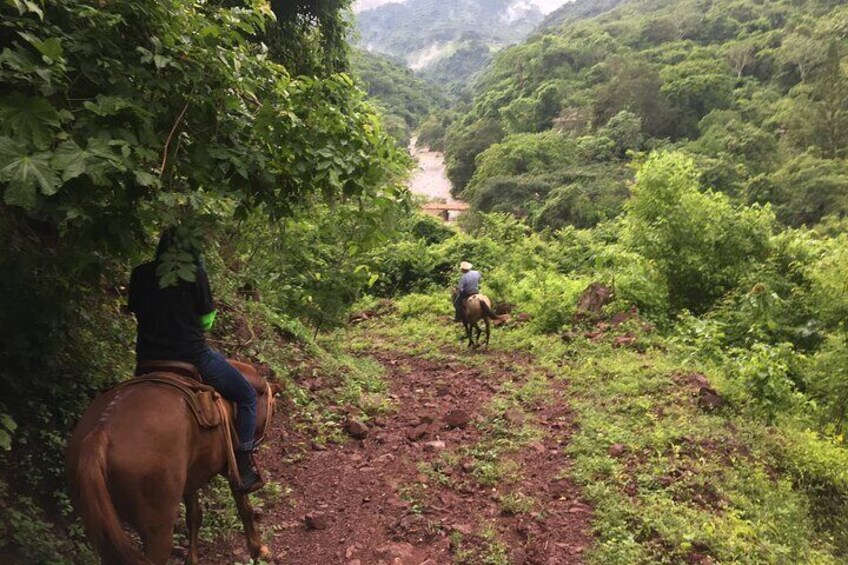 Horseback Riding Experience in Sierra Madre Mountains