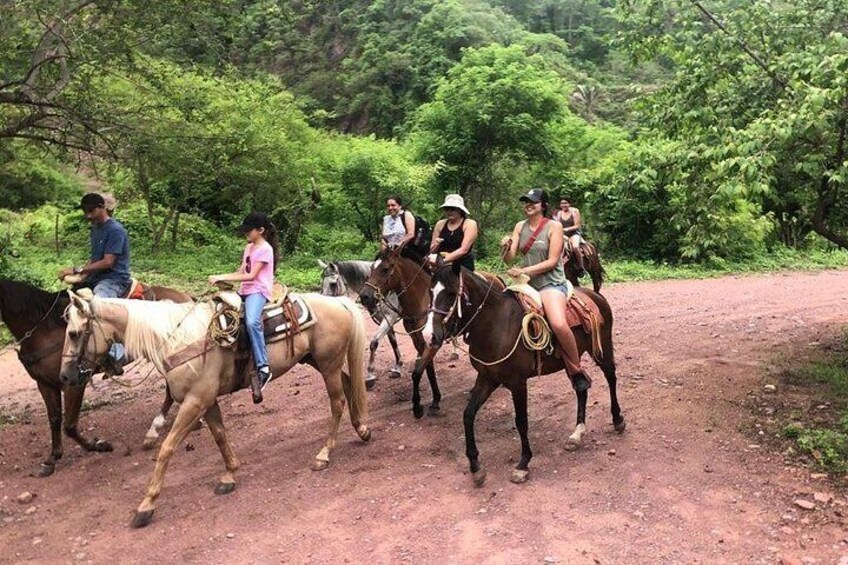 A group of people riding horses on a dirt path surrounded by greenery. 4