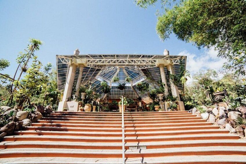 A staircase leading to a glass-domed structure surrounded by tropical plants and rocks. 3