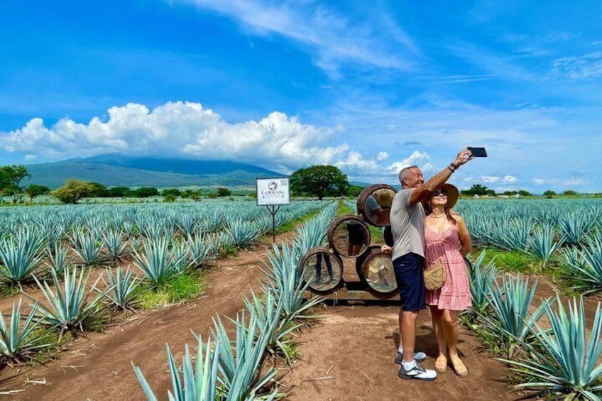 Tequila: Private Half-Day Tour 3