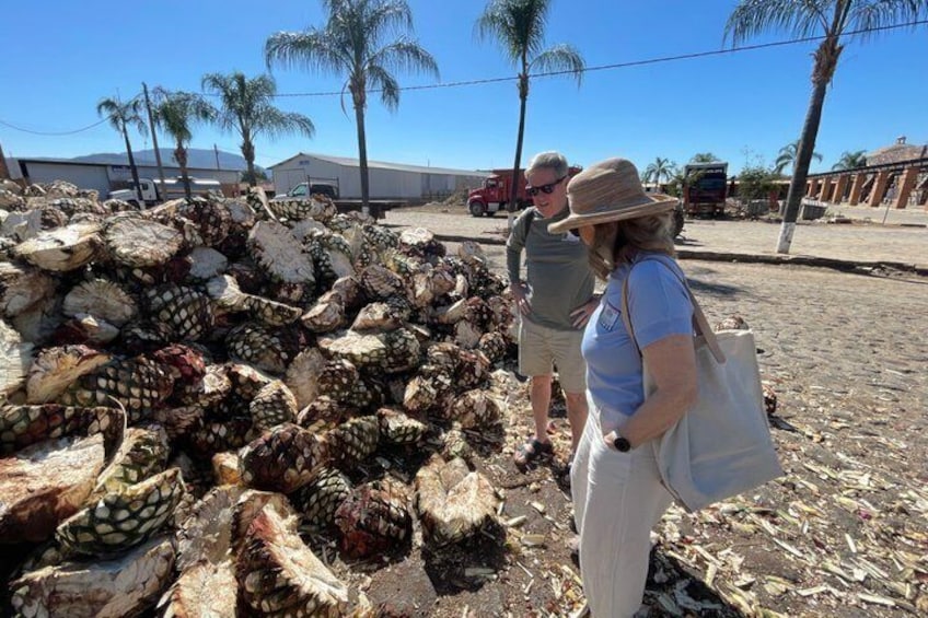 Tequila: Private Half-Day Tour 5