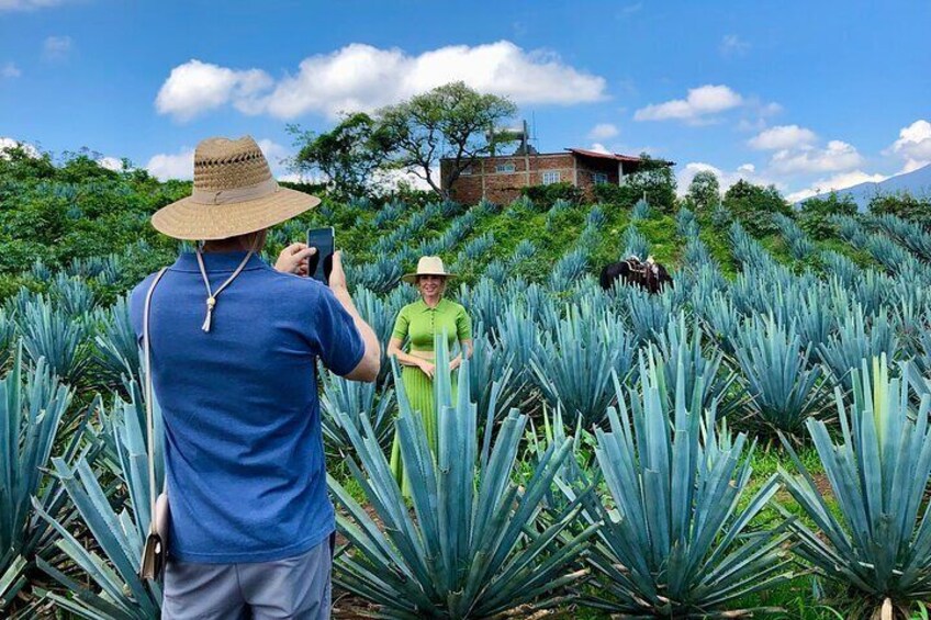 Una persona fotografiando a una mujer en un campo de agave, con un edificio al fondo. 1