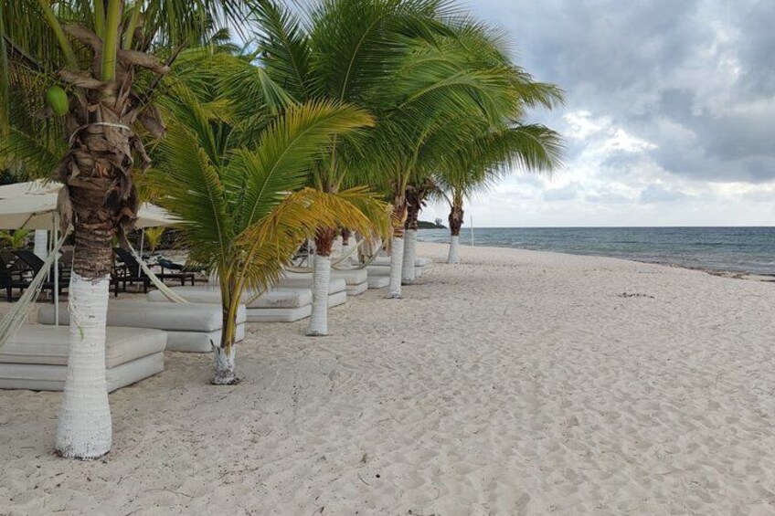 A sandy beach with palm trees and a cloudy sky. 2