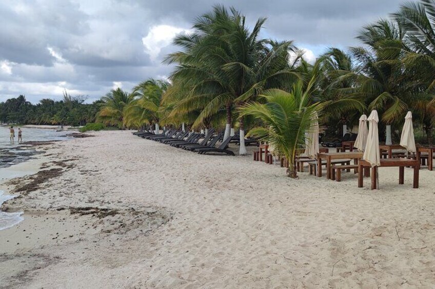 A beach with palm trees, lounge chairs, and a sandy shore. 5