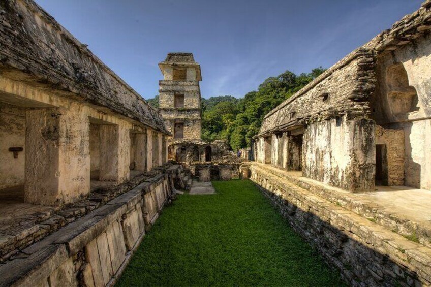 Tour to Palenque and the Misolha Waterfalls