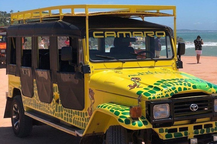 A yellow jeepney with a green and yellow pattern on the side, parked on a sandy beach. 2