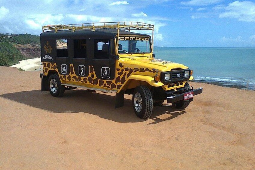 A yellow off-road vehicle with a giraffe print design parked on a sandy beach. 4