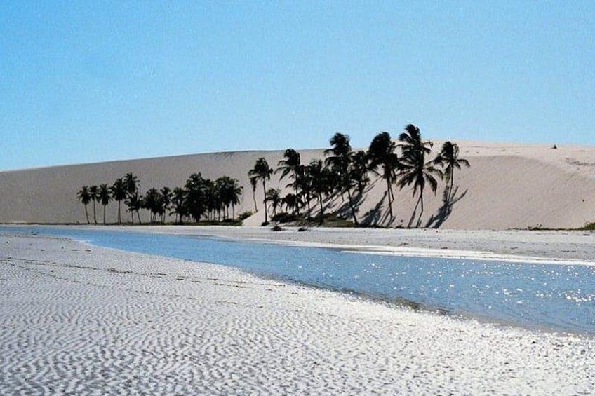 A desert landscape with sand dunes, a beach, and palm trees. 2