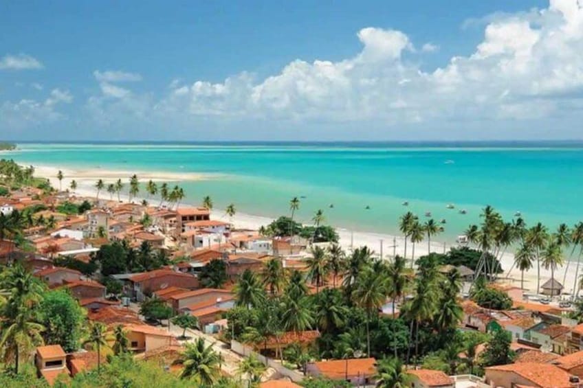 A coastal town with a beach, palm trees, and houses. 5