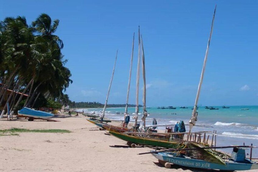 A beach with sailboats, palm trees, and a clear blue sky. 4