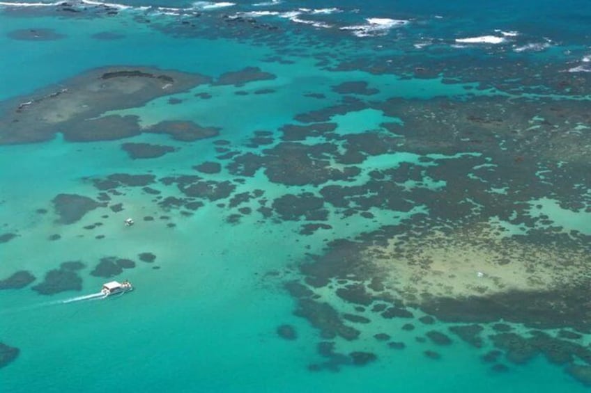 An aerial view of a coral reef with clear turquoise waters and scattered dark patches of coral. 2