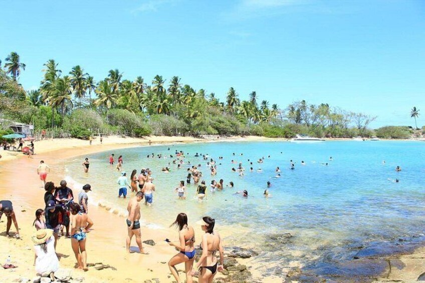 A beach with people swimming and sunbathing, palm trees, and clear blue water. 1