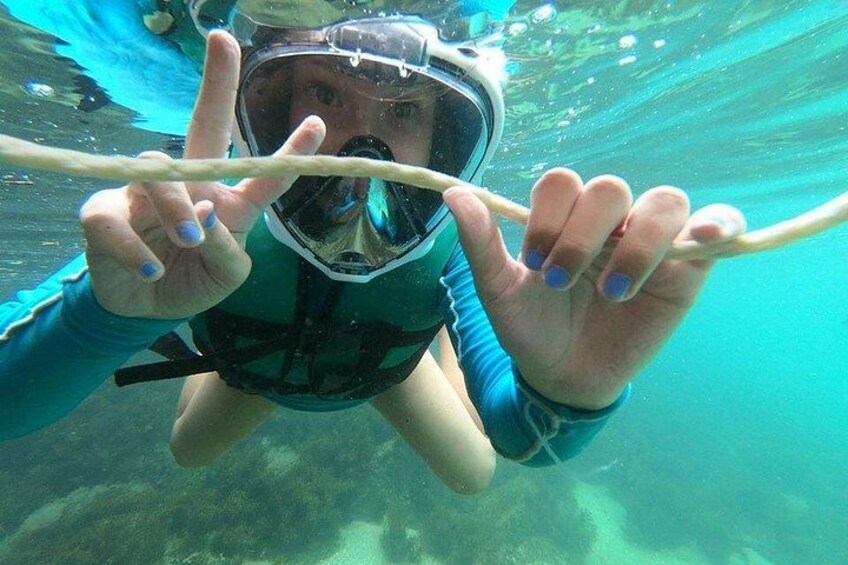A person underwater, wearing a snorkel mask and holding a snorkel tube. 1