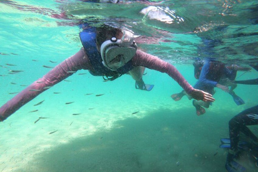 A diver underwater with a snorkel and fins, surrounded by fish. 4