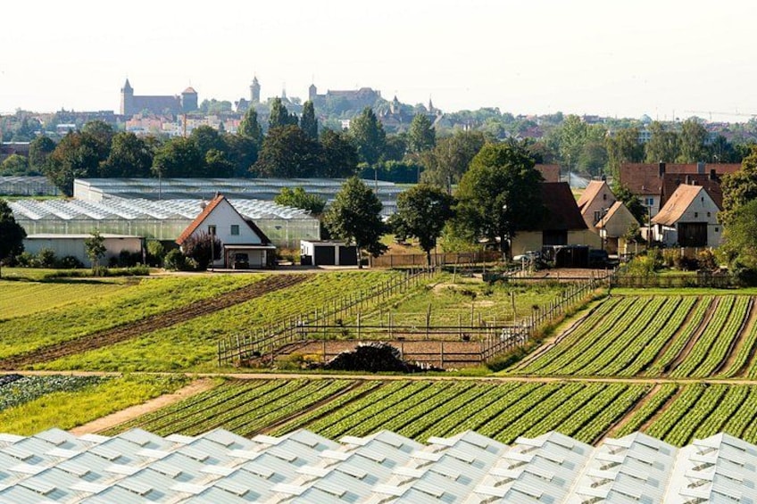 Kulinarische Fahrradtour - Knoblauchsland 1