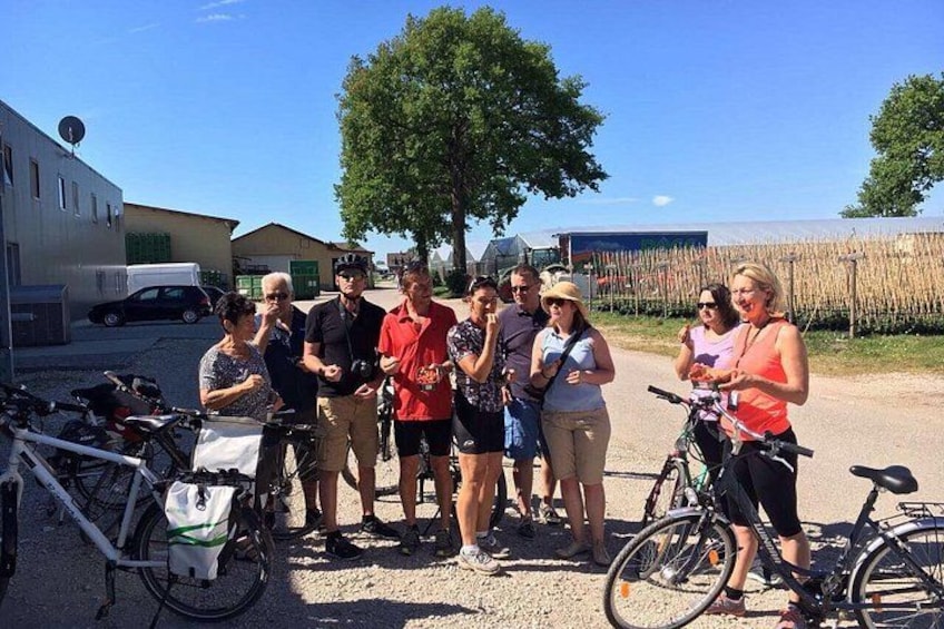 Kulinarische Fahrradtour - Knoblauchsland 4