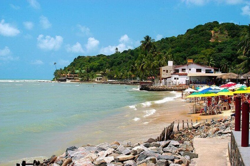 Tour Praia da Pipa - From Natal 1