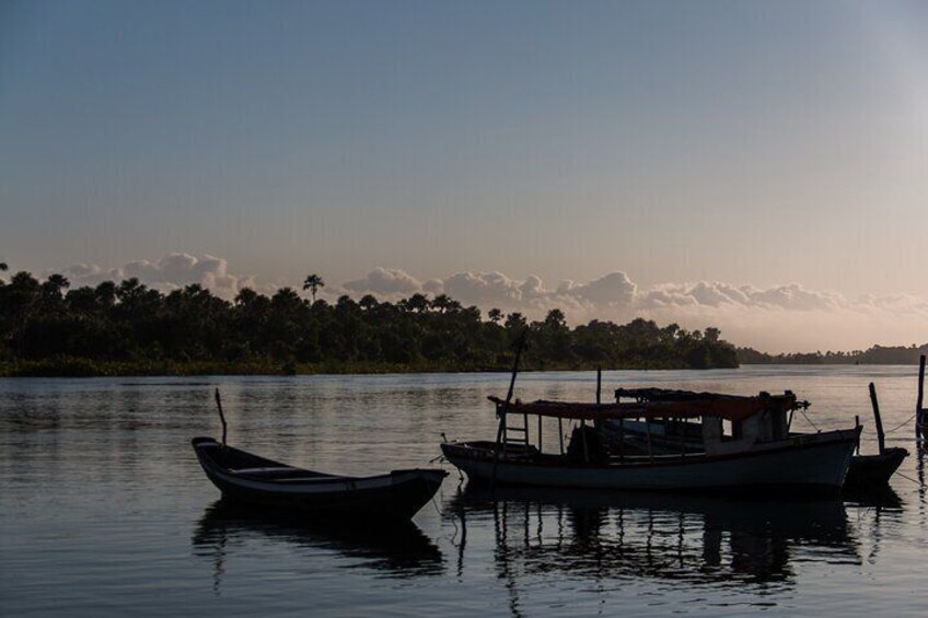 Kayak Tour Casa da Farinha by Costa Leste EcoAventura