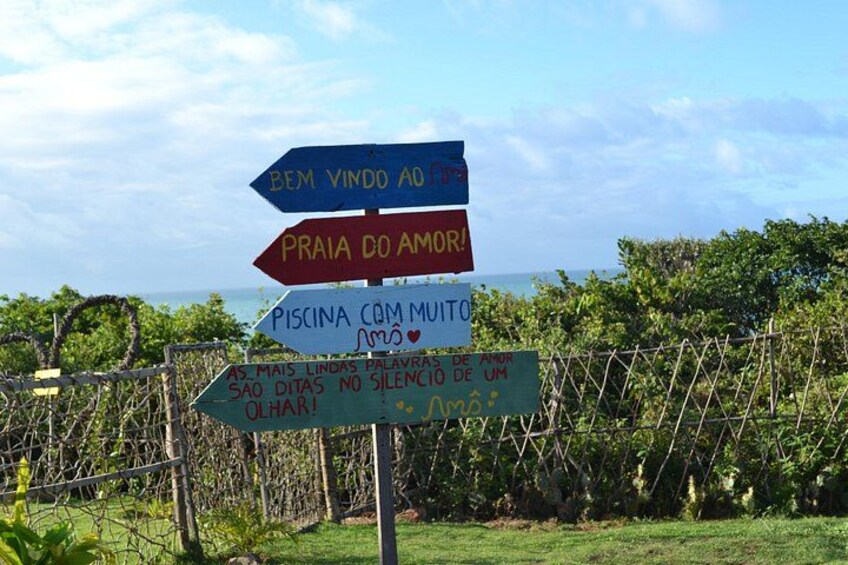 Pipa Beach Tour - Leaving Natal 4