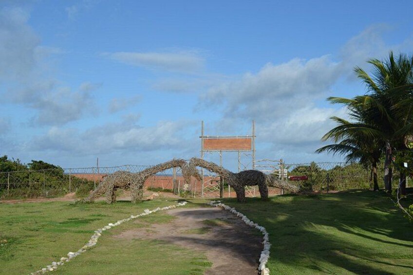 Pipa Beach Tour - Leaving Natal 5