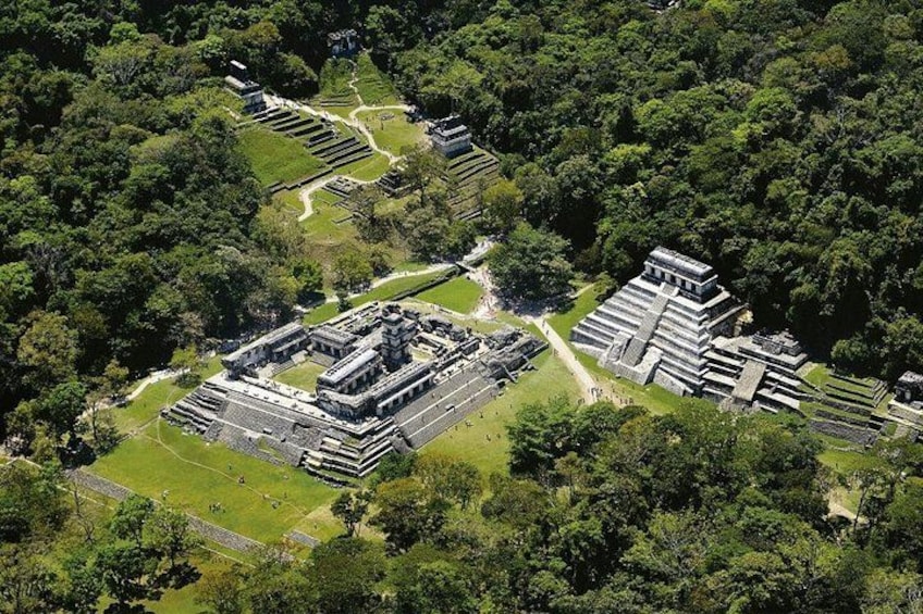 An ancient Mayan pyramid complex surrounded by dense forest. 1