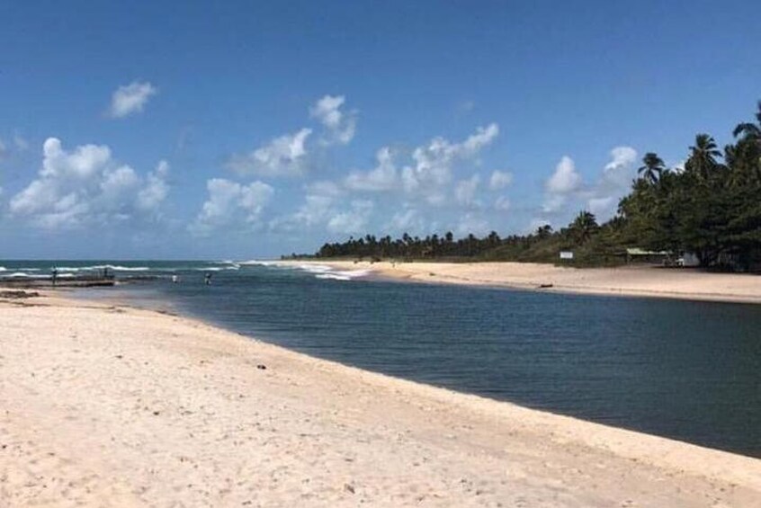 A beach with clear blue water, sandy shore, and palm trees in the background. 2