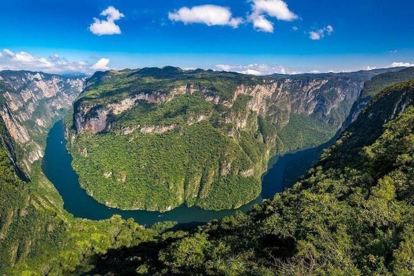 A deep canyon with a river winding through it, surrounded by dense green forest. 4