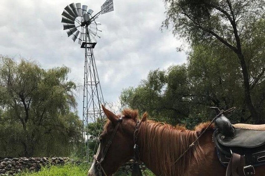 Horseback Riding in the Capulines 1