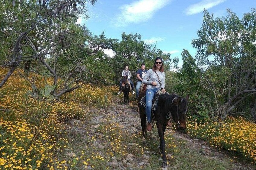 Horseback Riding in the Capulines 5