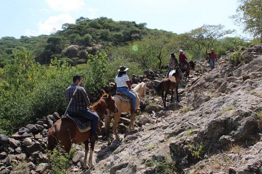 Horseback Riding in the Capulines 3