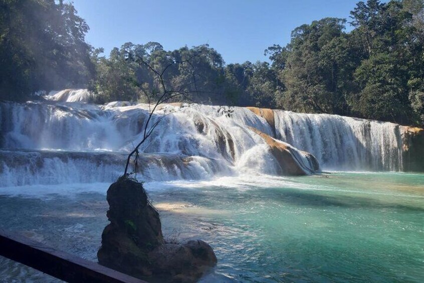 palenque blue water