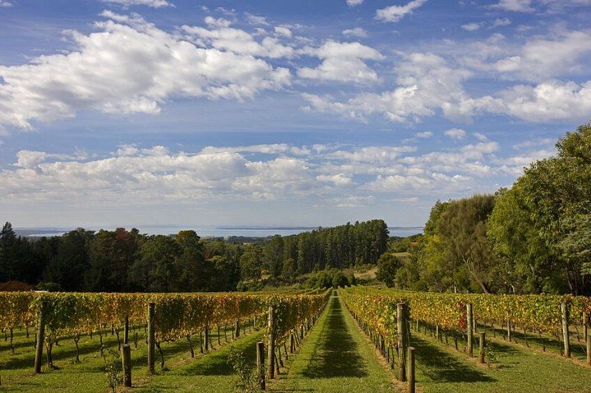 Mornington Peninsula Wine Day Tour 2