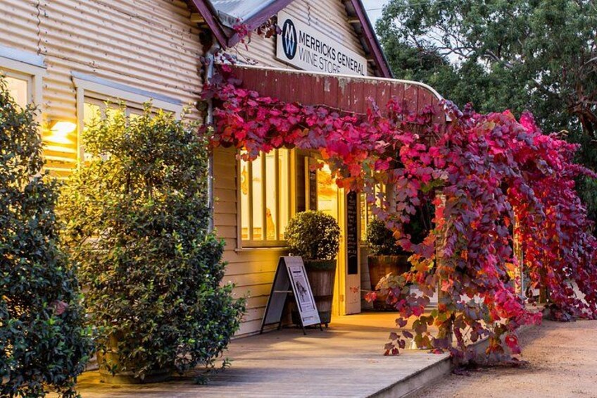 Mornington Peninsula Wine Day Tour 2