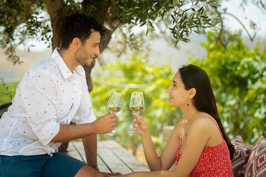 Food and Wine pairing in the vineyards 1