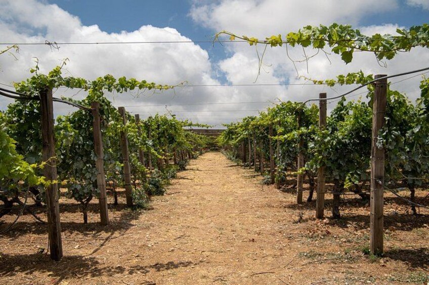 Heraklion SUV Private Guided Wine Tour with Lunch 5