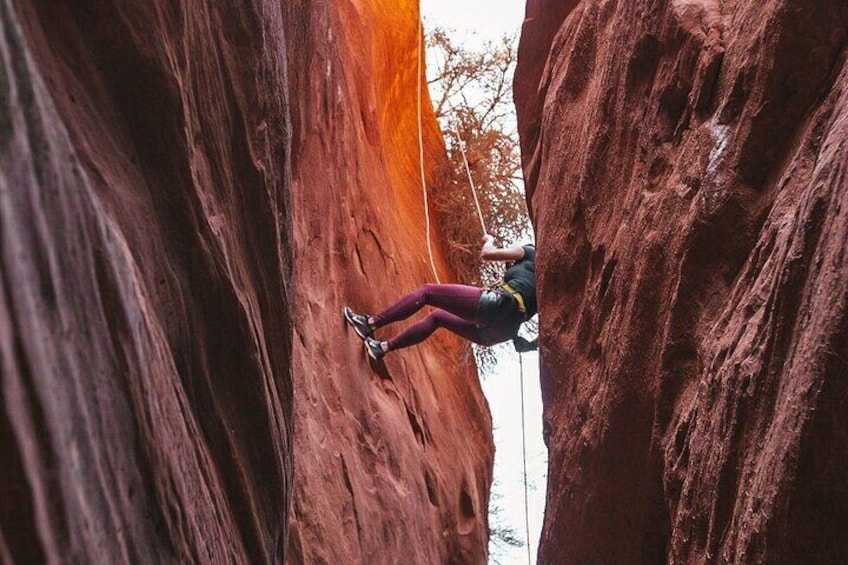 Half Day Slot Canyon Canyoneering near East Zion