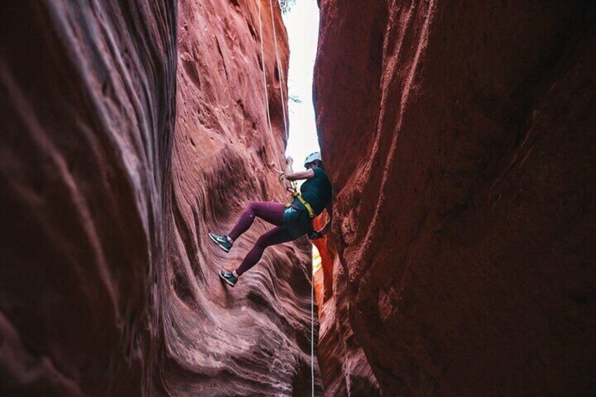 Half Day Slot Canyon Canyoneering near East Zion