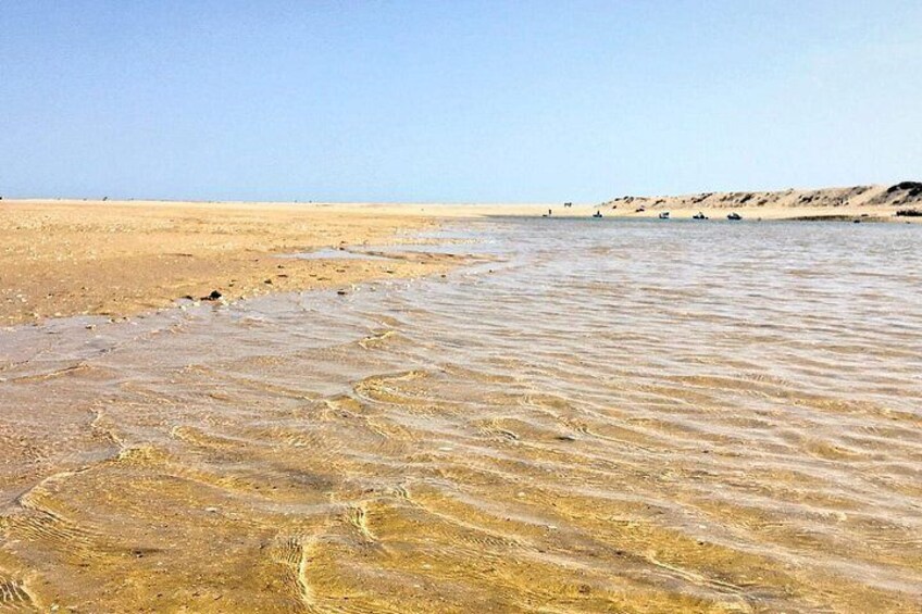 A sandy beach with shallow water and footprints. 4
