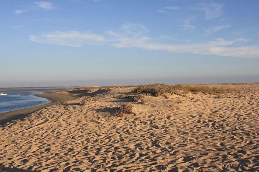 A sandy beach with gentle waves and sparse vegetation. 3