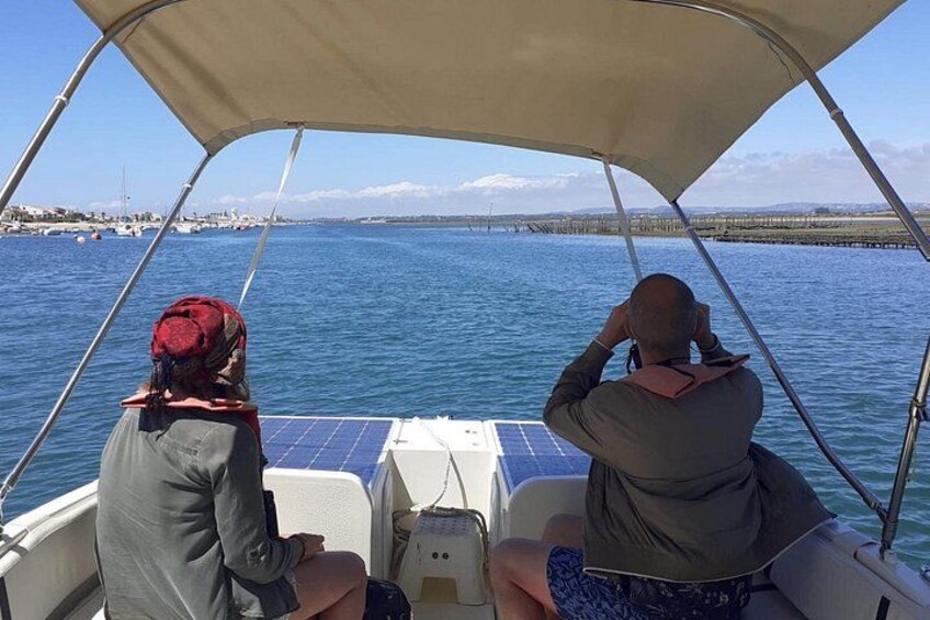 Dos personas en un bote con toldo, observando el agua. 2