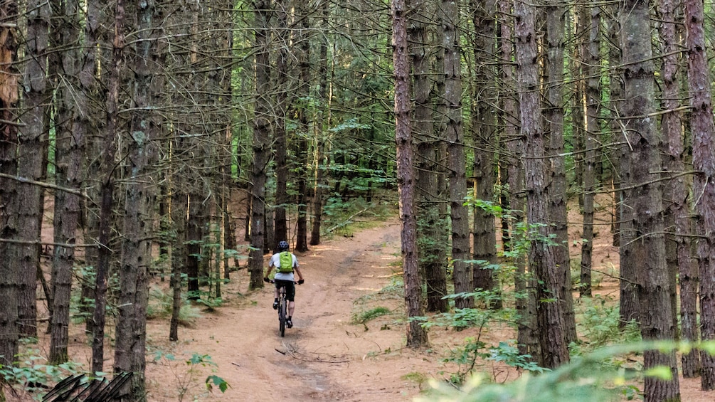 Bicyclist on a forest path in Vermont 3