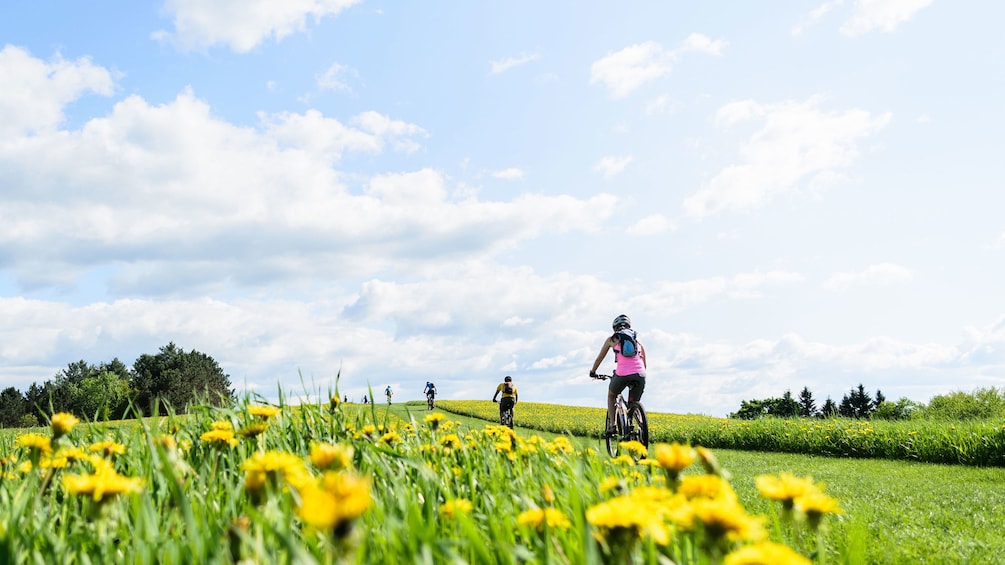 Bicycling group on a path through a field in Vermont 2