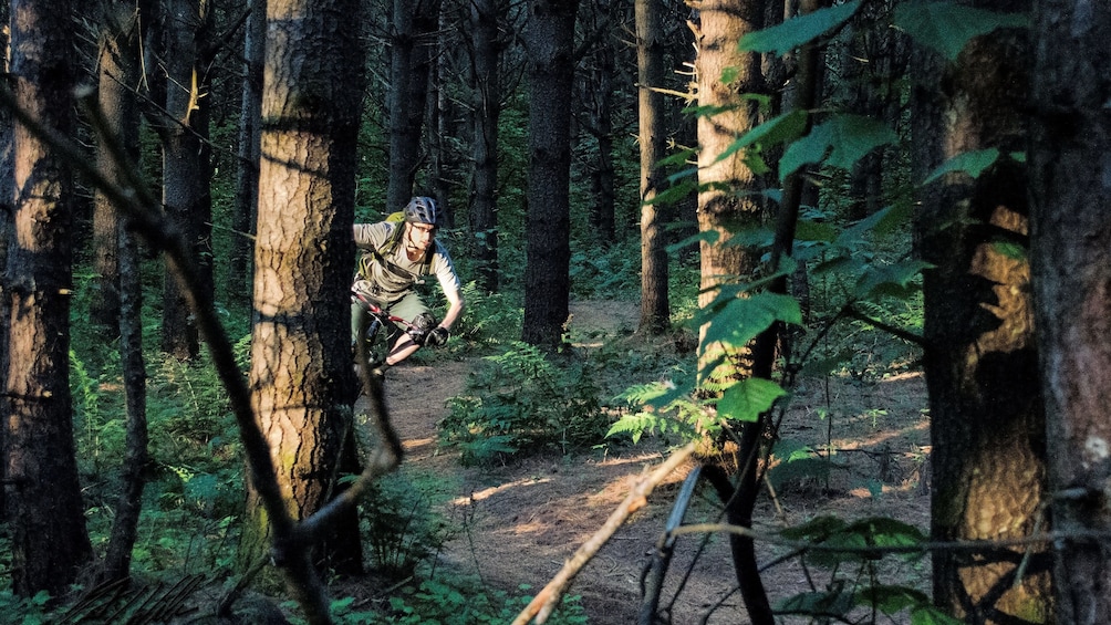 Bicyclist on a path through the trees in Vermont 5