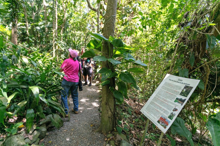 Nature and Sightseeing at Phantasea Tropical Botanical Garden 3