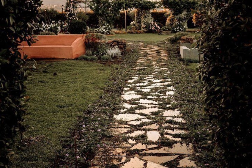 Ein Gartenweg mit trittfesten Steinen, umgeben von Grünpflanzen und einer Backsteinmauer. 5