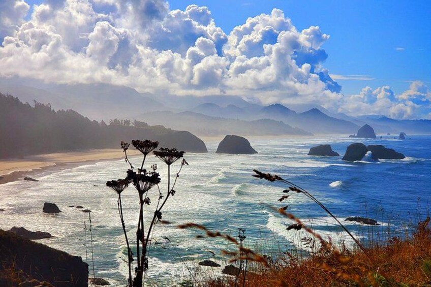 Full-Day Guided Oregon Coast Tour from Portland 3