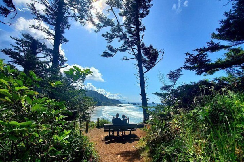 Full-Day Guided Oregon Coast Tour from Portland 4