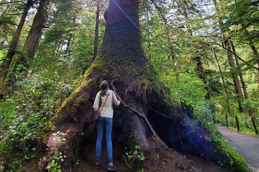 Full-Day Guided Oregon Coast Tour from Portland 2