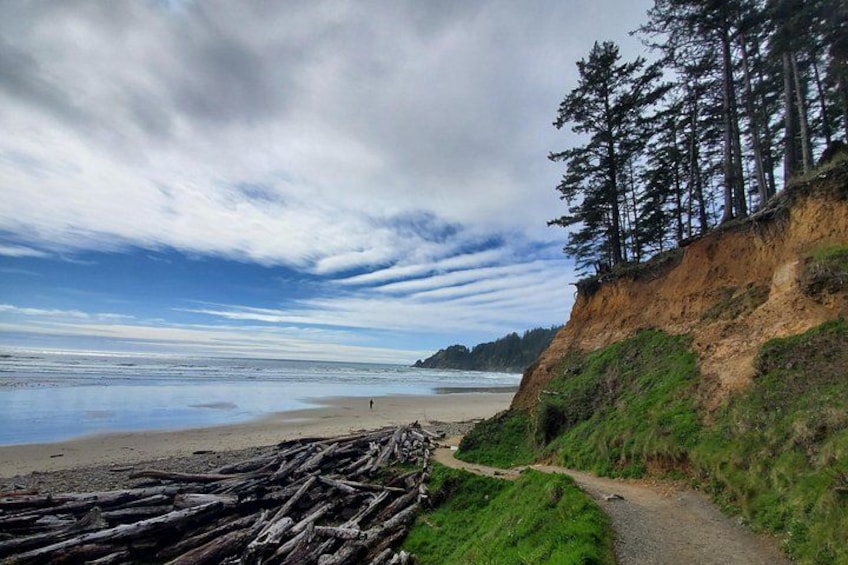 Full-Day Guided Oregon Coast Tour from Portland 2